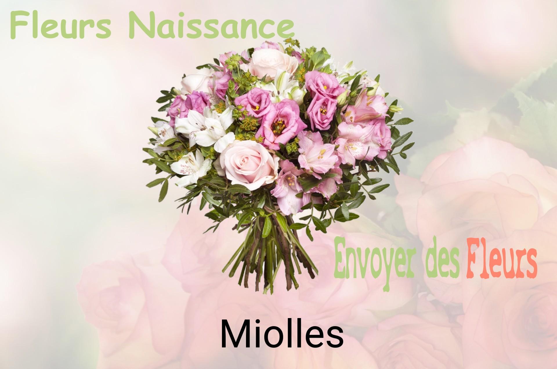 Bouquet de fleurs de naissance livré à Miolles